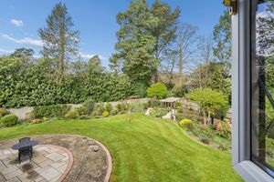 Photo 12- click for photo gallery